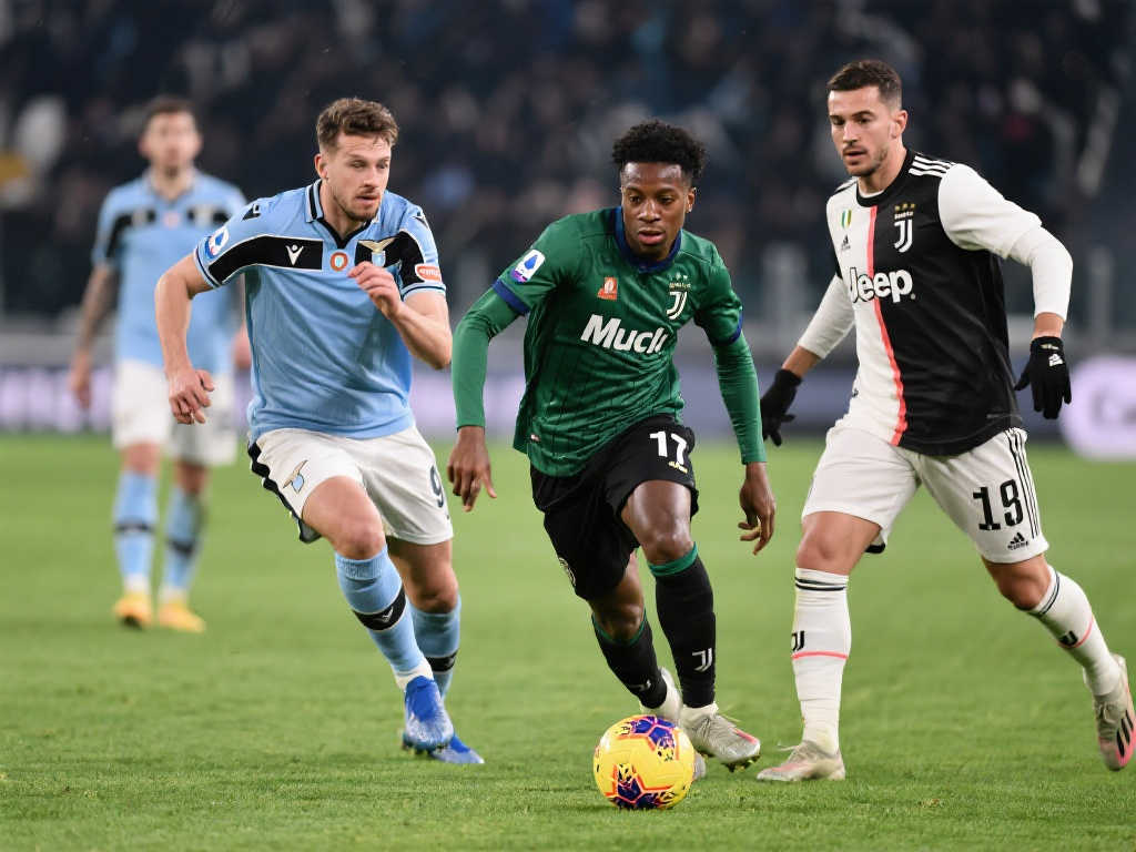 扬帆起航的 扬帆起航的